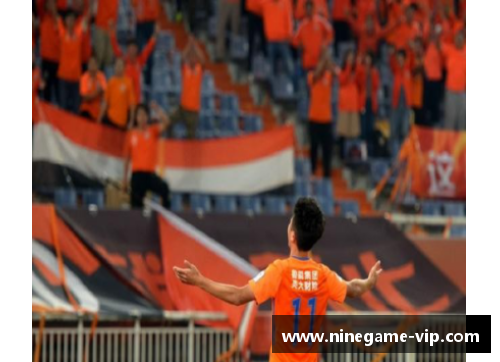 深圳鲁能：现状与未来展望